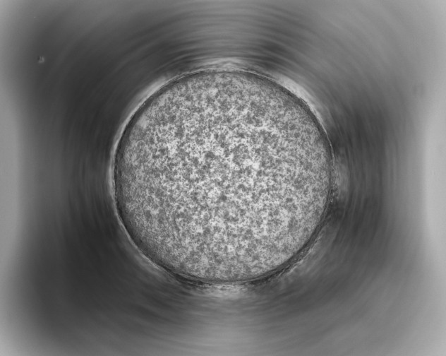 X0000093511090200711021023