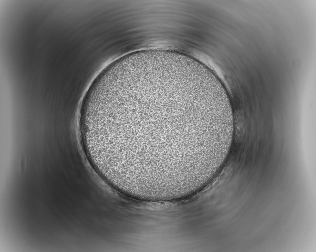 X0000093511091200711021023