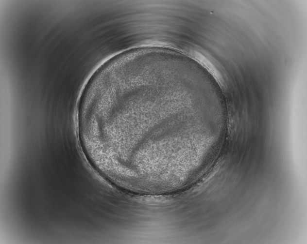 X0000093511092200711021023