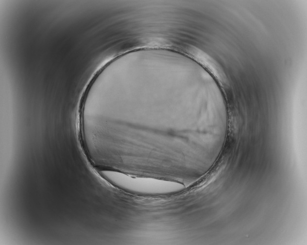 X0000093511095200711021023