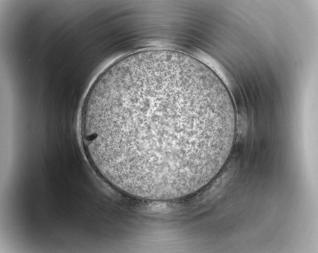 X0000093511098200711021023