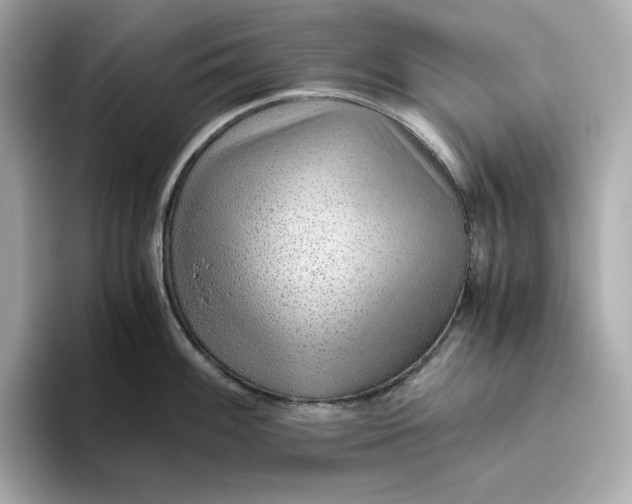 X0000093511100200711021023