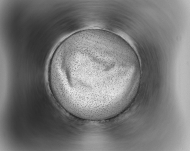 X0000093511104200711021023