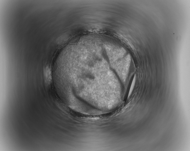 X0000093511106200711021023