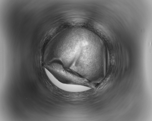 X0000093511108200711021023