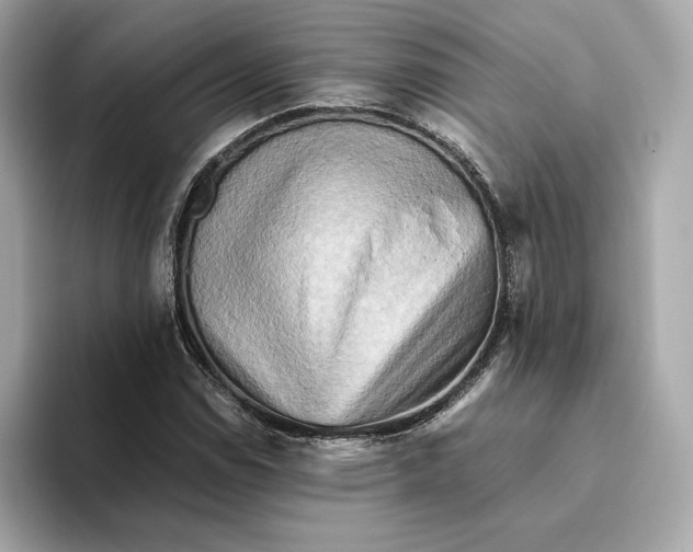 X0000093511114200711021023