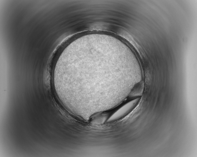 X0000093511115200711021023