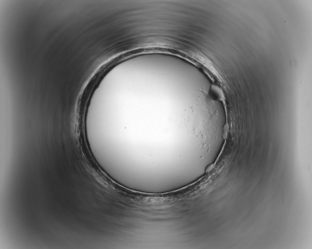 X0000093511116200711021023