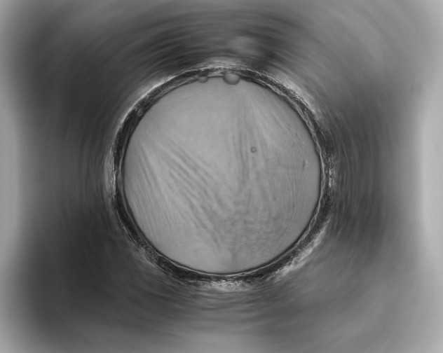 X0000093511117200711021023