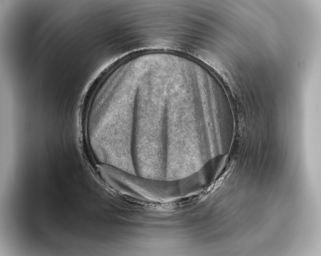 X0000093511120200711021023