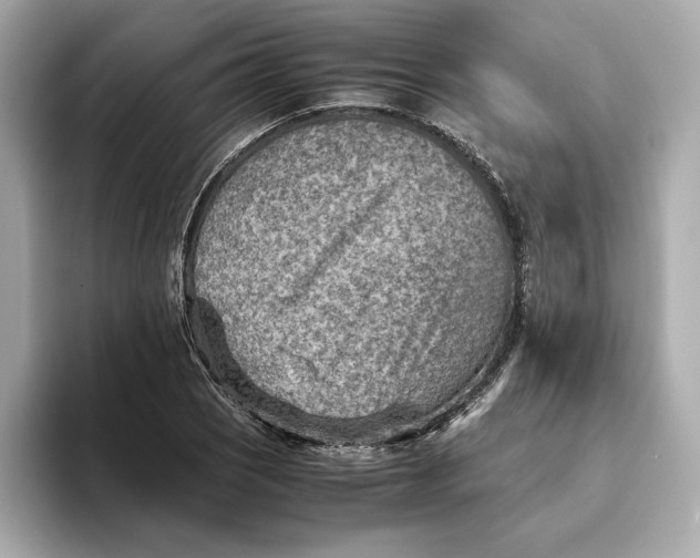 X0000093511121200711021023