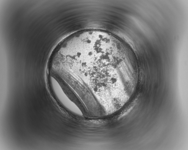 X0000093511125200711021023