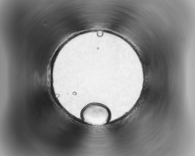 X0000093511126200711021023