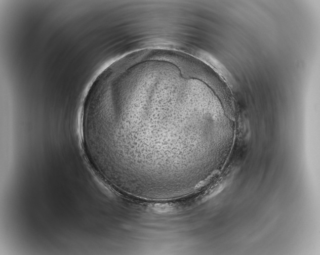 X0000093511128200711021023