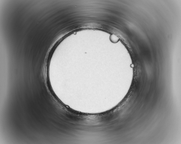 X0000093511130200711021023