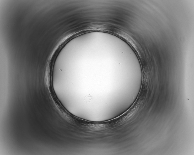 X0000093511131200711021023