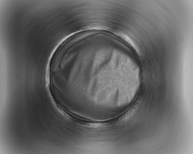 X0000093511132200711021023