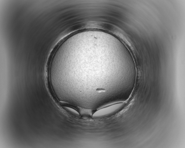 X0000093511133200711021023