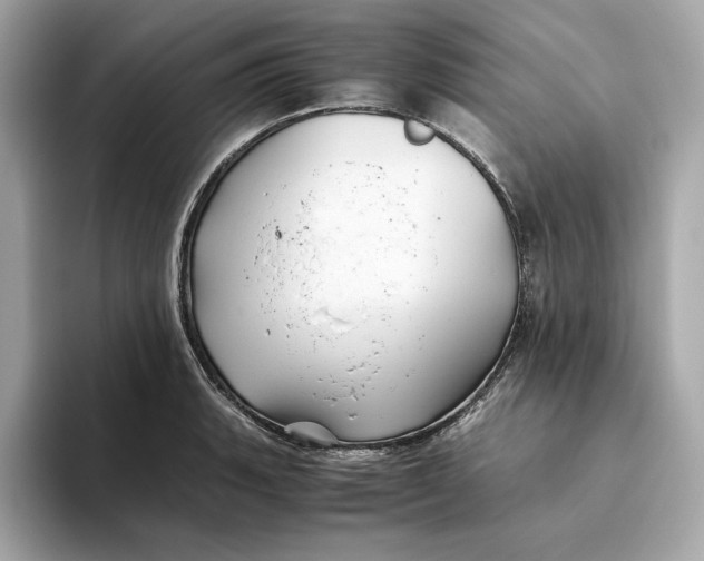 X0000093511135200711021023