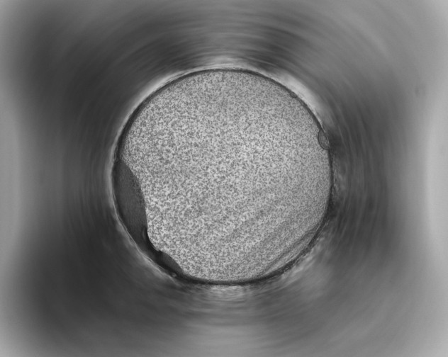 X0000093511142200711021023