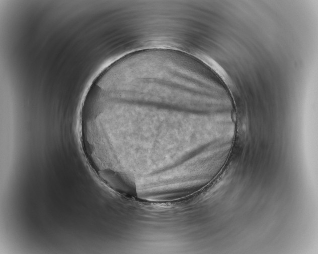 X0000093511144200711021023