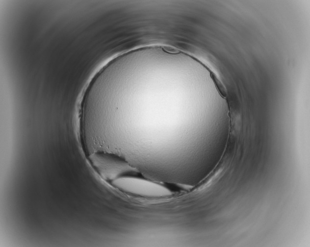 X0000093511151200711021023