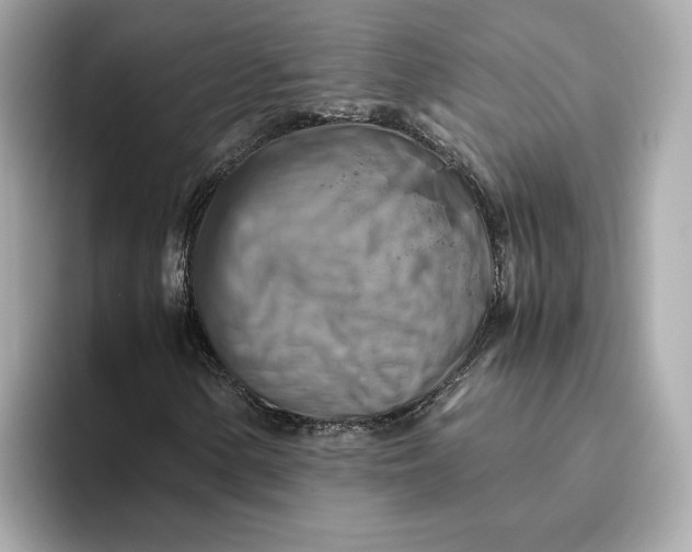 X0000093511154200711021023