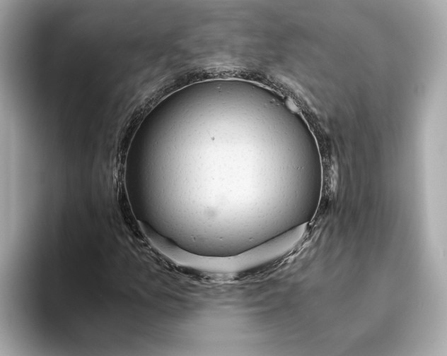 X0000093511157200711021023