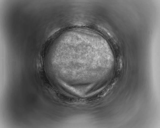 X0000093511158200711021023