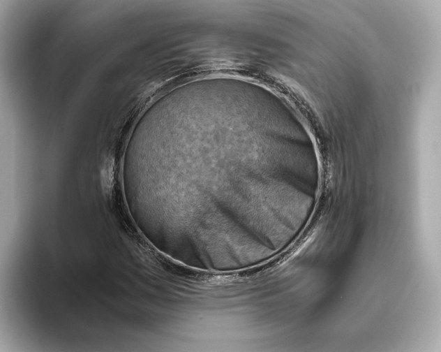 X0000093511161200711021022