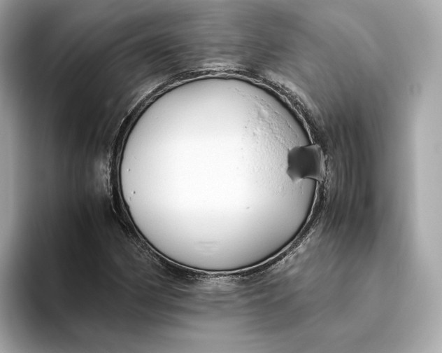 X0000093511162200711021022