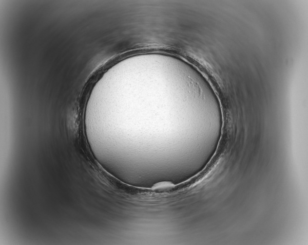 X0000093511163200711021022