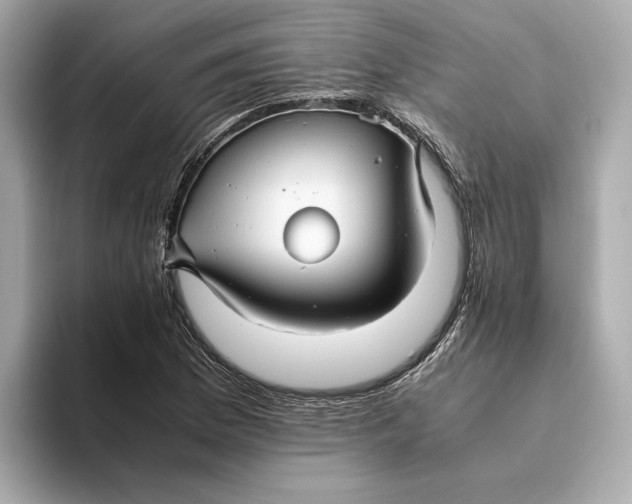 X0000093511169200711021022