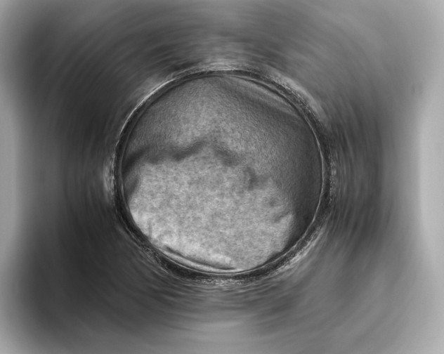 X0000093511170200711021022