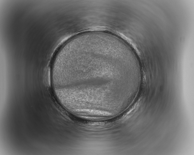 X0000093511171200711021022