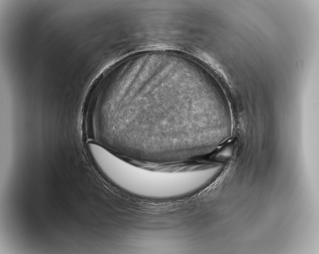 X0000093511173200711021022