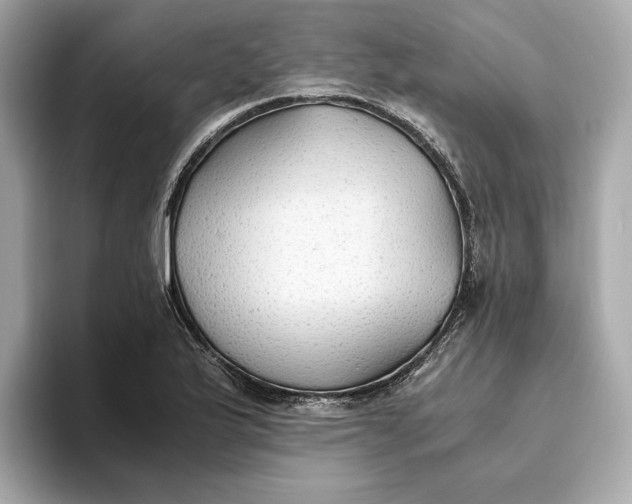 X0000093511175200711021022