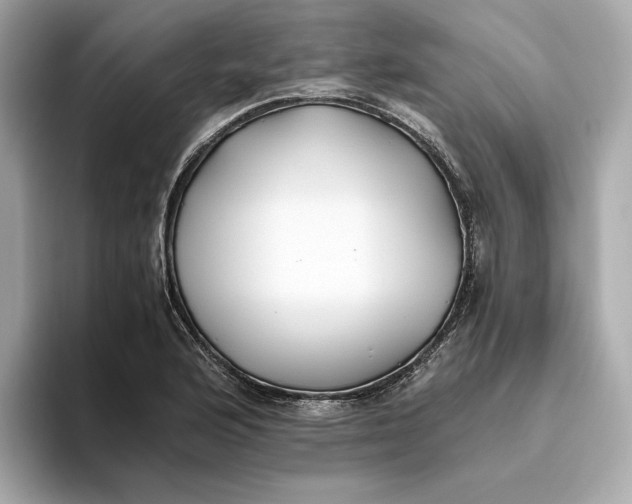 X0000093511176200711021022