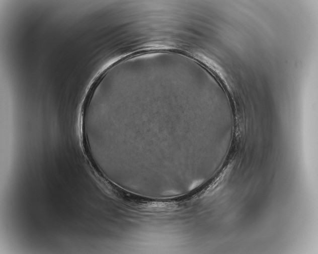 X0000093511179200711021022