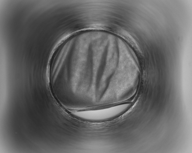 X0000093511180200711021022