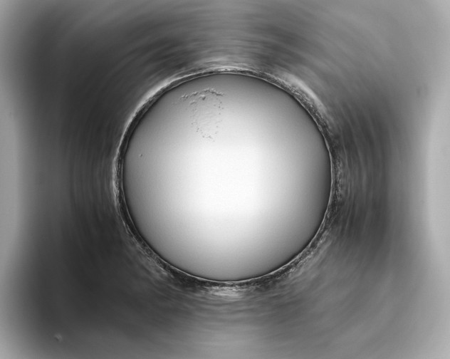 X0000093511182200711021022