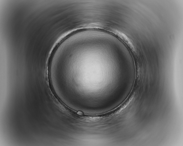 X0000093511184200711021022