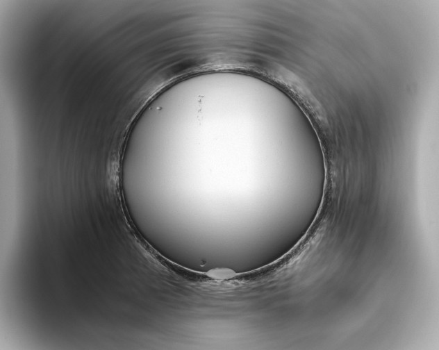 X0000093511185200711021022