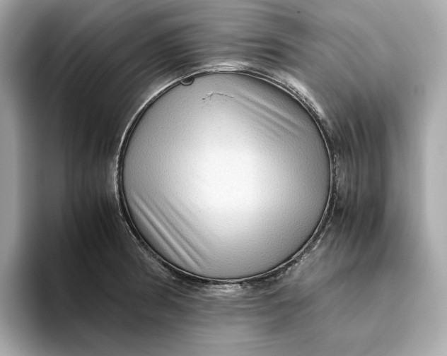 X0000093511186200711021022