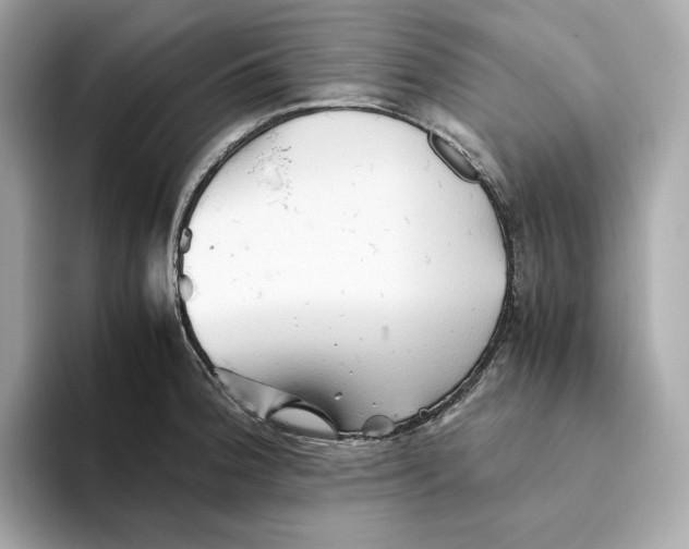 X0000093511188200711021022