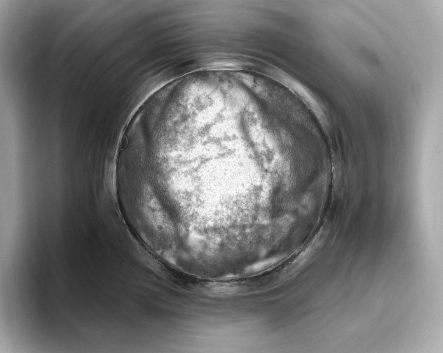 X0000093511194200711021022