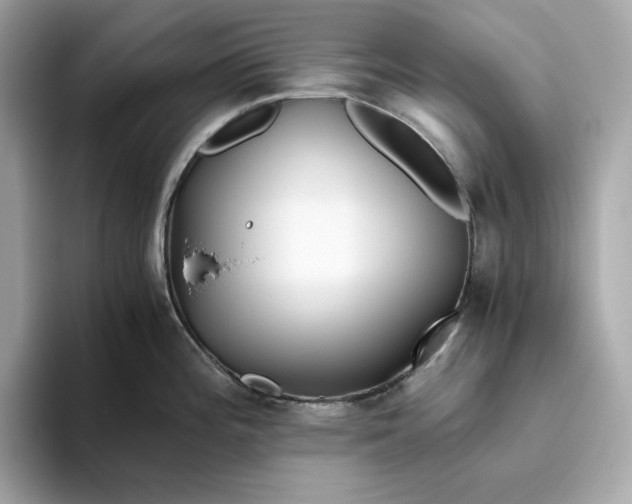 X0000093511196200711021022