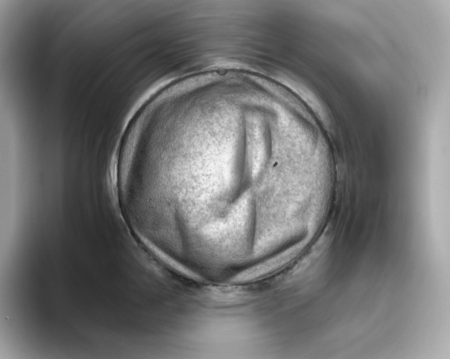 X0000093511198200711021022