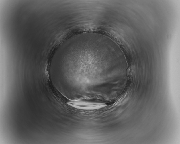 X0000093511202200711021021