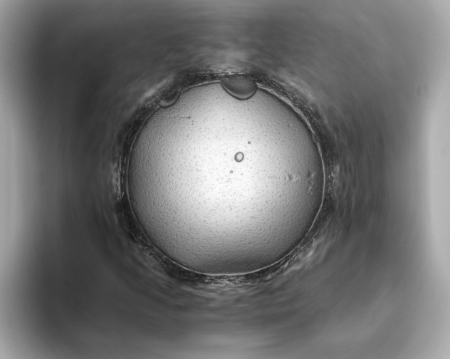 X0000093511205200711021021